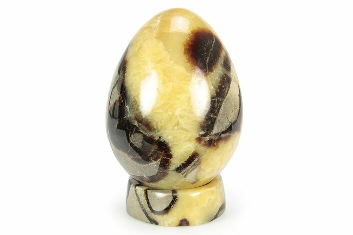 Polished Septarian Egg with Stand - Madagascar #252810
